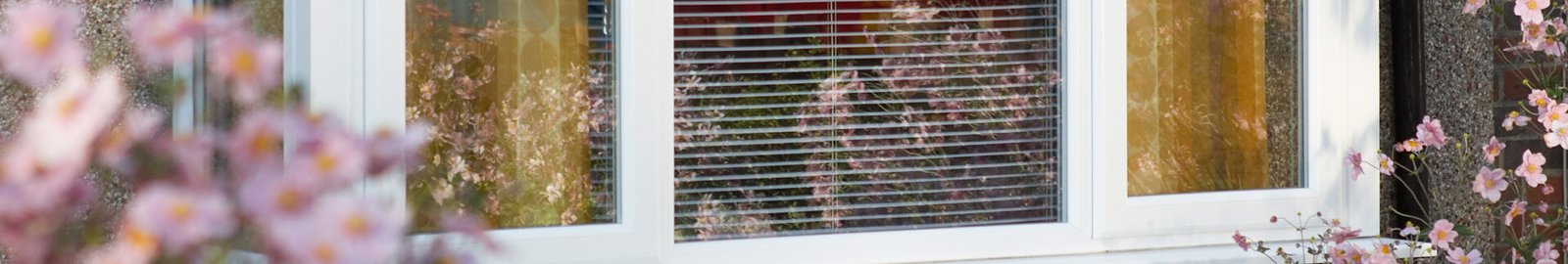 f42dae69-d6a3-4cda-8d30-80aff6df46b0